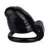 CockLock Cage de chasteté Worle S 7 x 3.3 cm Noire